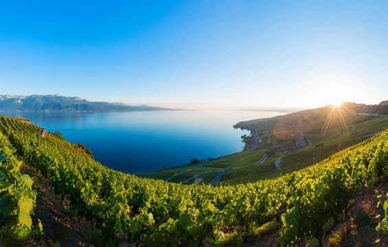 site-touristique-vinci-autoroutes-lac-leman