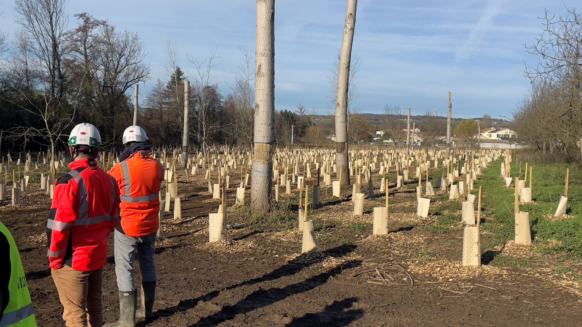 A7 Echangeur Drômardeche - photo environnement