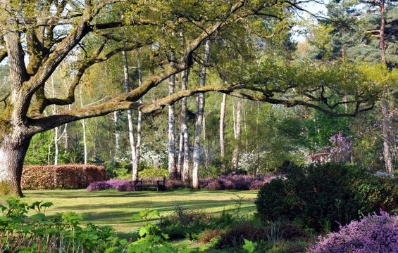 Arboretum des Grandes Bruyères
