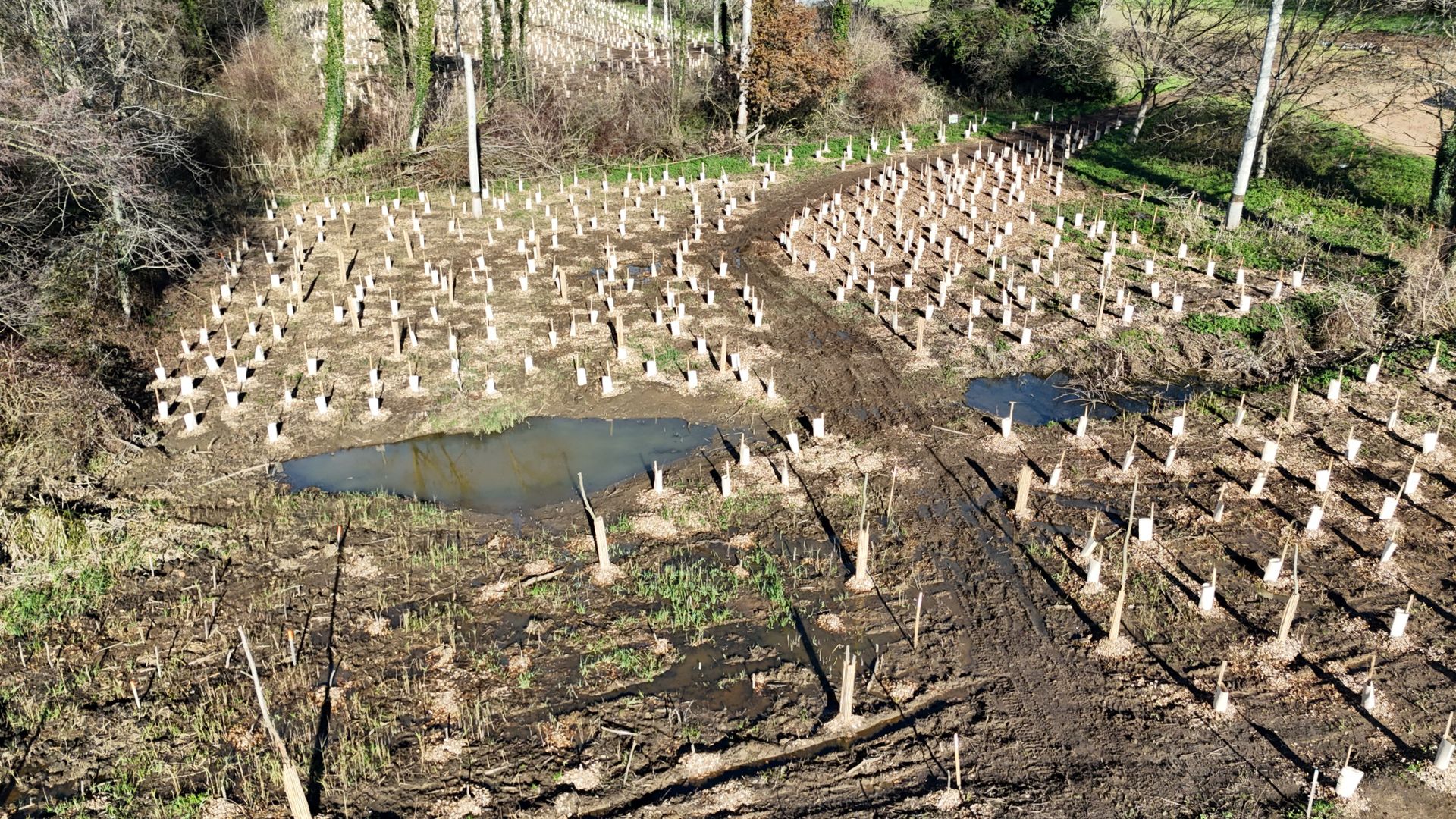 A7 Echangeur Drômardeche - photo environnement 3