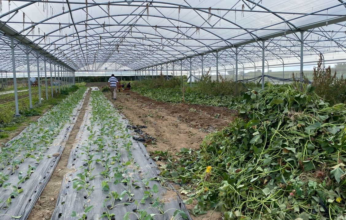 jardins_voie_romaine_vinci_autoroutes