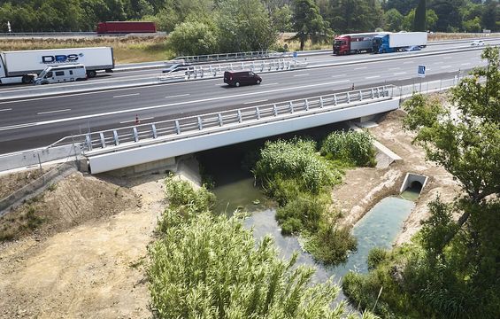 A7-A54 Bifurcation 