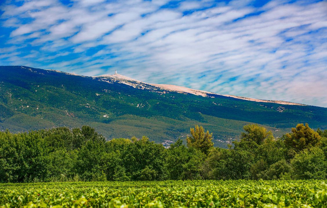 site-touristique-vinci-autoroutes-mont-ventoux