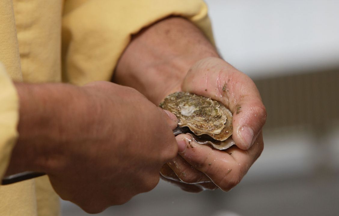 huitres-aire-autoroute-fetes-noel
