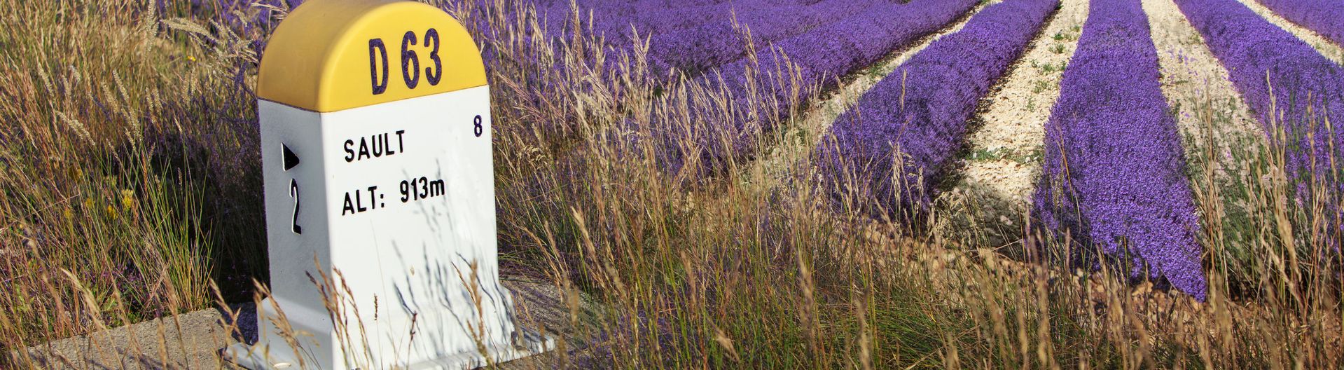 sault-lavande-routes-de-la-lavande-vinci-autoroutes