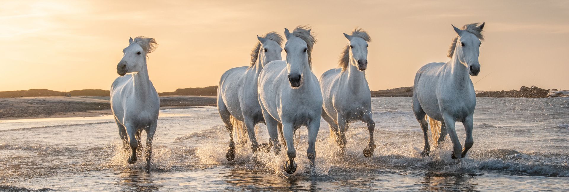 S’évader à proximité de l’autoroute A54