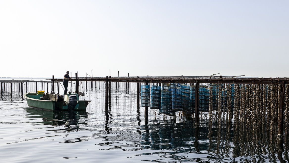 site-touristique-vinci-autoroutes-etang-thau
