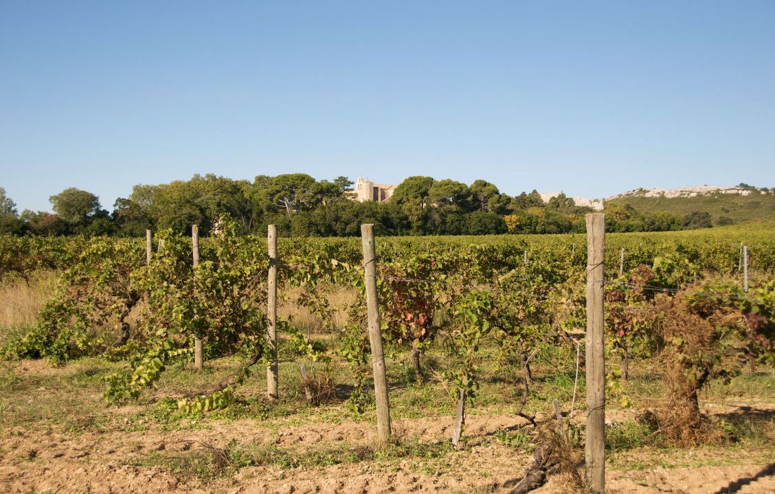 site-touristique-vinci-autoroutes-abbaye-valmagne