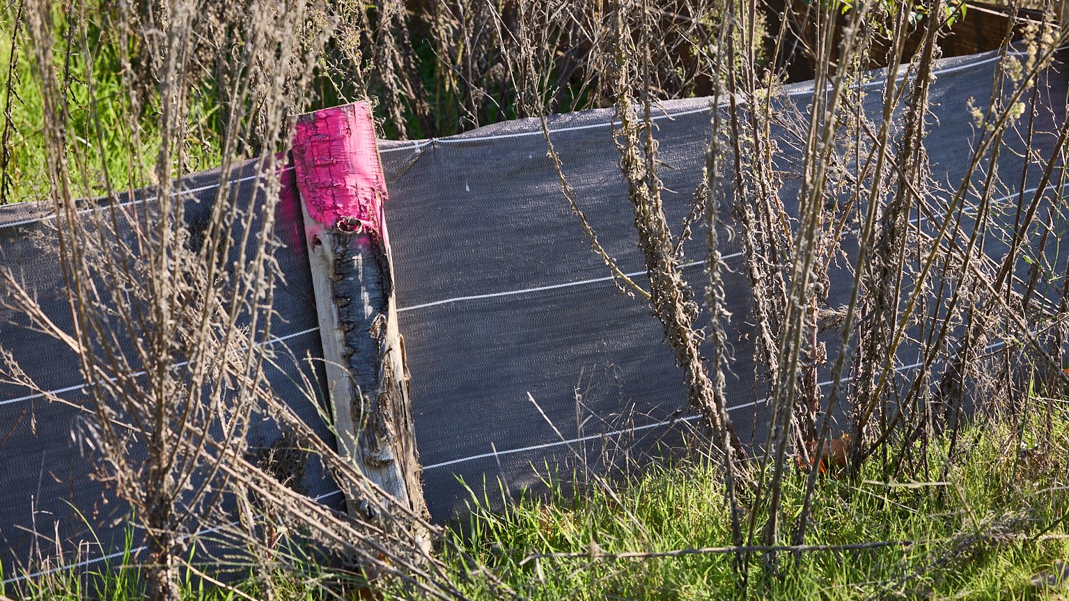 A7 Echangeur Drômardeche - photo environnement PDA Nord
