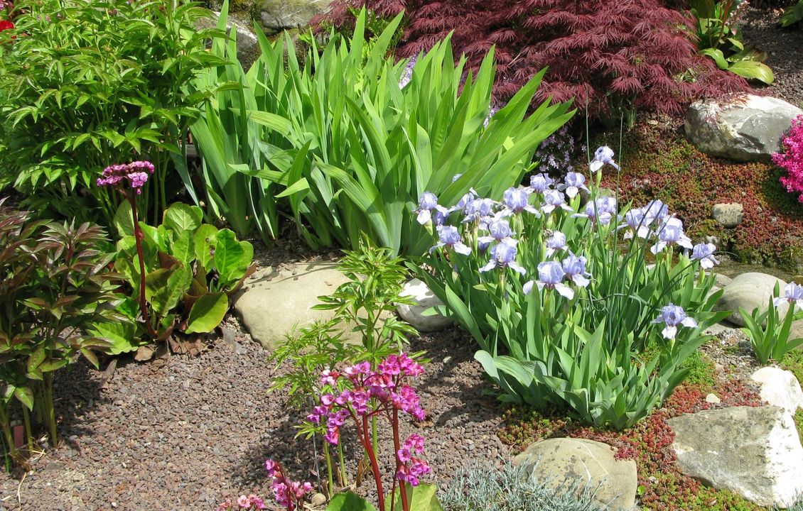 Parc floral de la Source