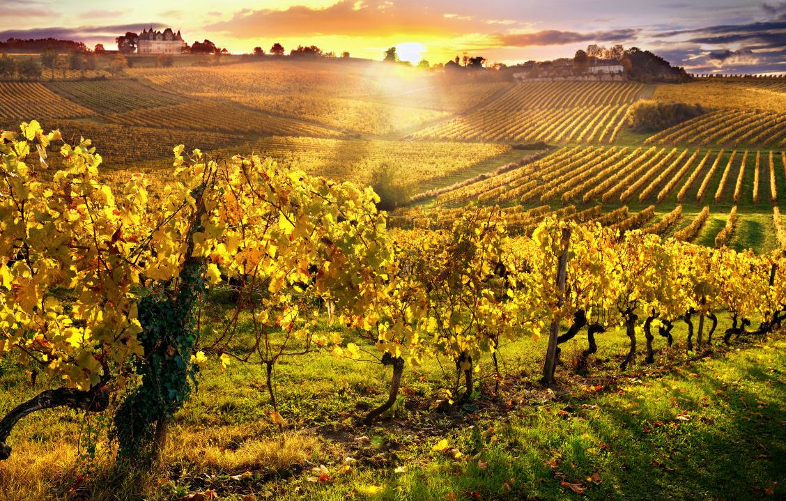 site-touristique-vinci-autoroutes-vieux-bergerac