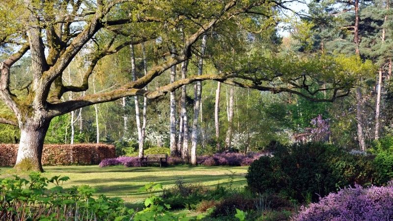 Arboretum des Grandes Bruyères