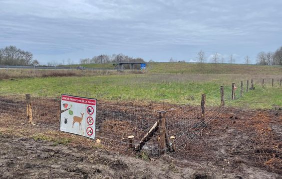 Coteaux-sur-Loire : travaux préparatoires, mise en défens