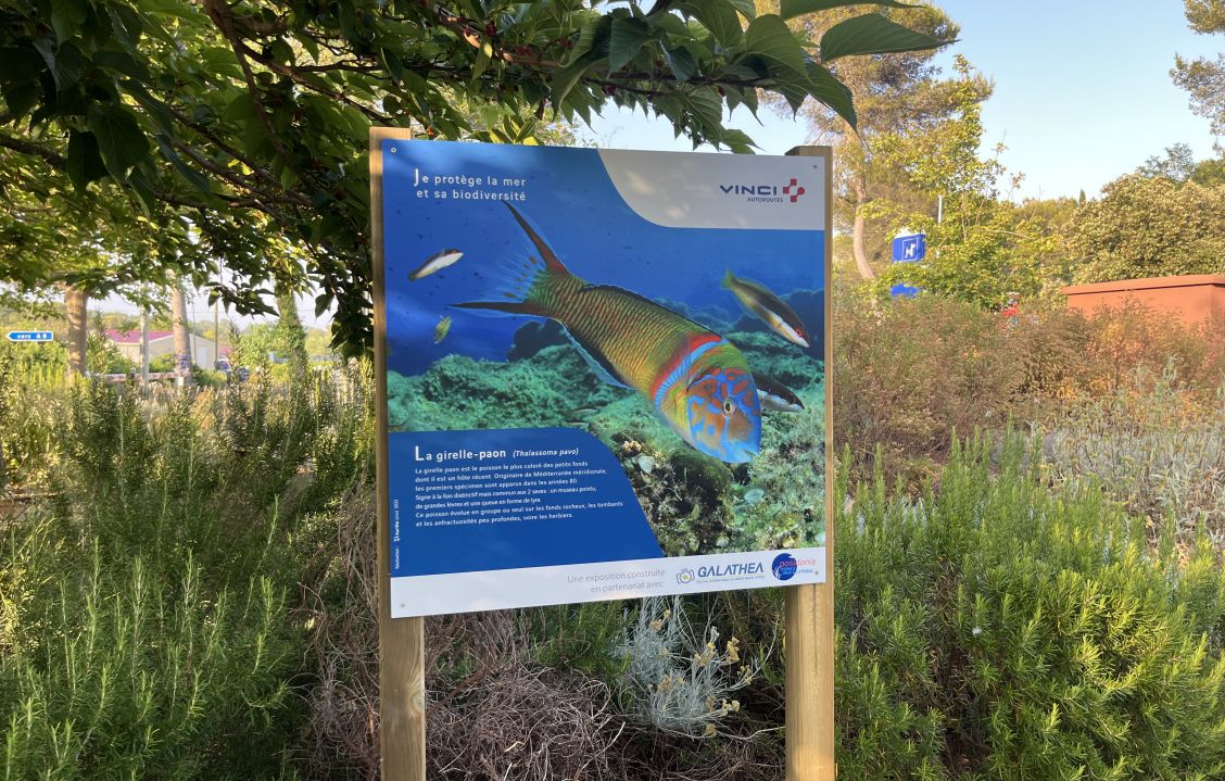 a8-exposition-aires-autoroute