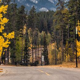 Les crimes de la route