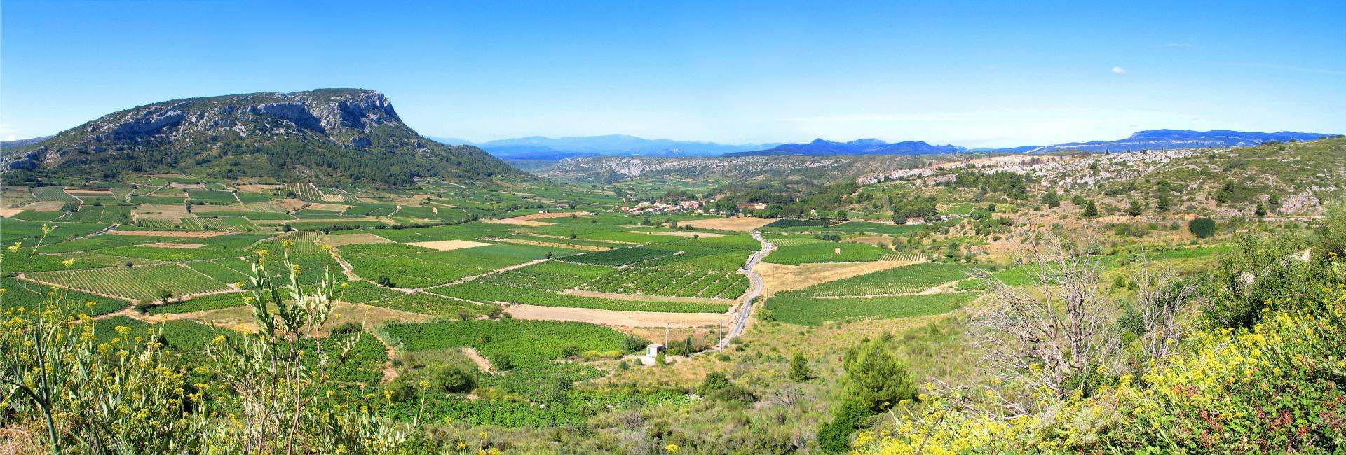 Massif des Corbières