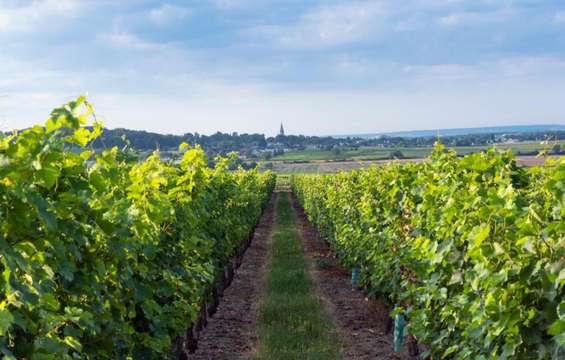 site-touristique-vinci-autoroutes-parc-naturel-regional-loire-anjou-touraine