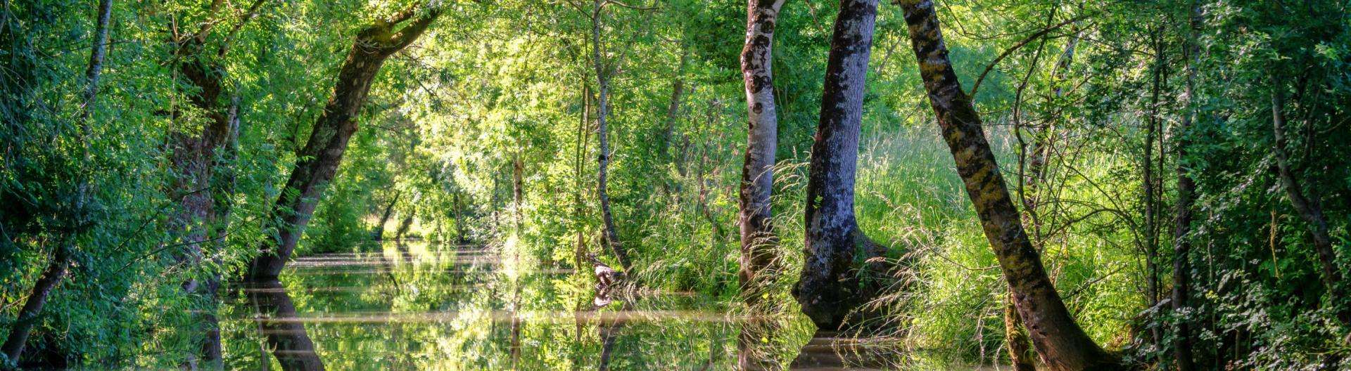 marais-poitevin-route-littoral-vendeen-vinci-autoroutes