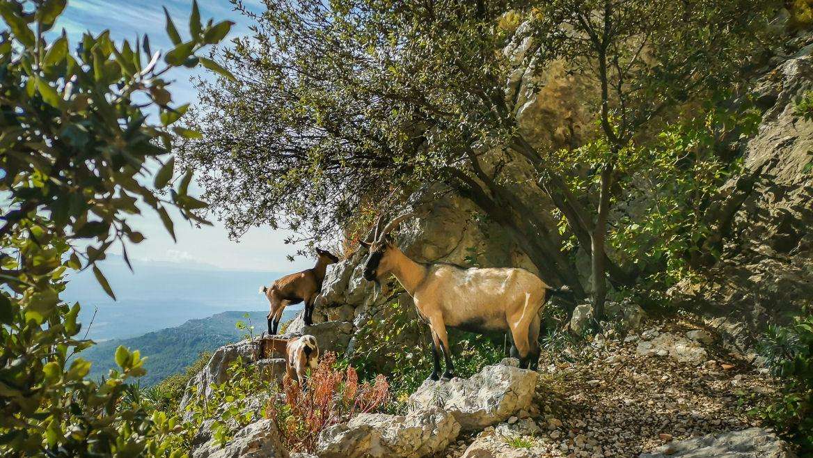 site-touristique-vinci-autoroutes-montagne-sainte-victoire