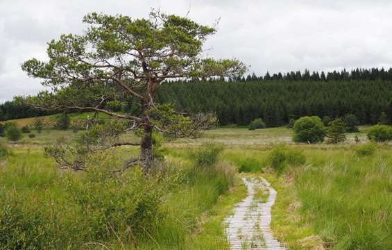 site-touristique-vinci-autoroutes-parc-naturel-regional-millevaches-limousin