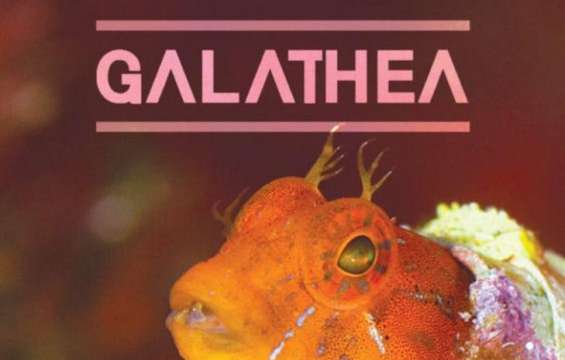 festival-galathea-hyeres