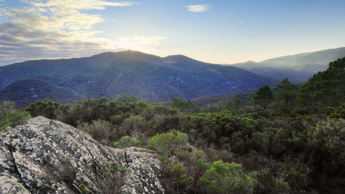 site-touristique-vinci-autoroutes-massif-des-maures