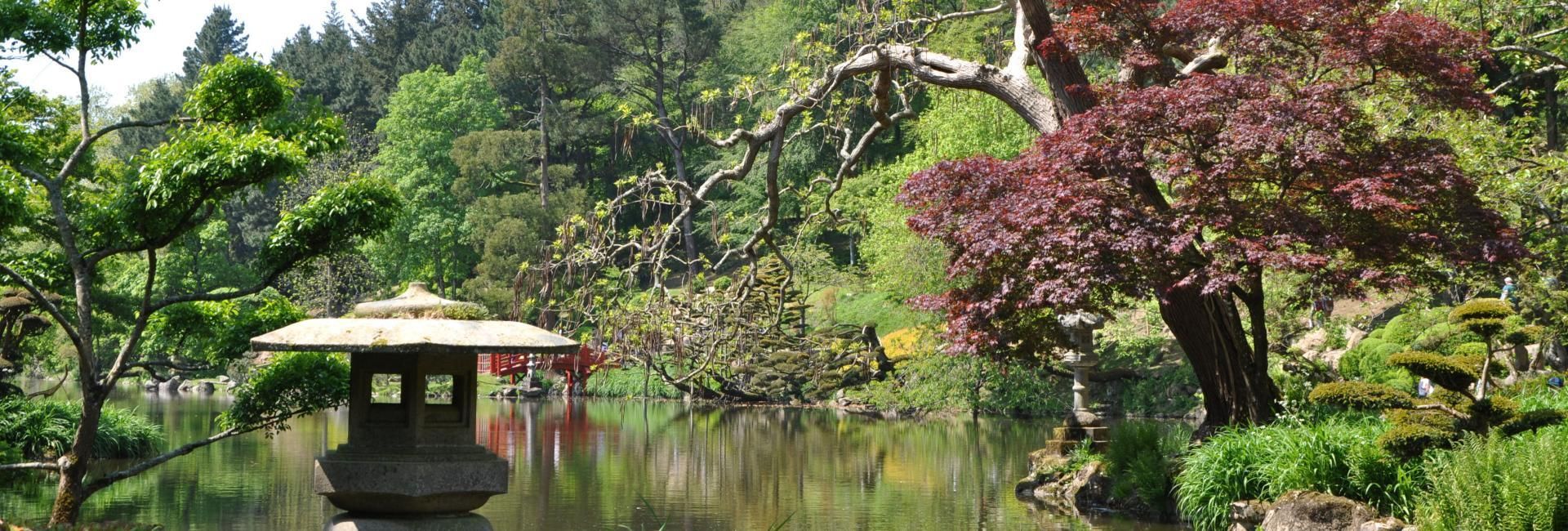 Parc oriental de Maulevrier