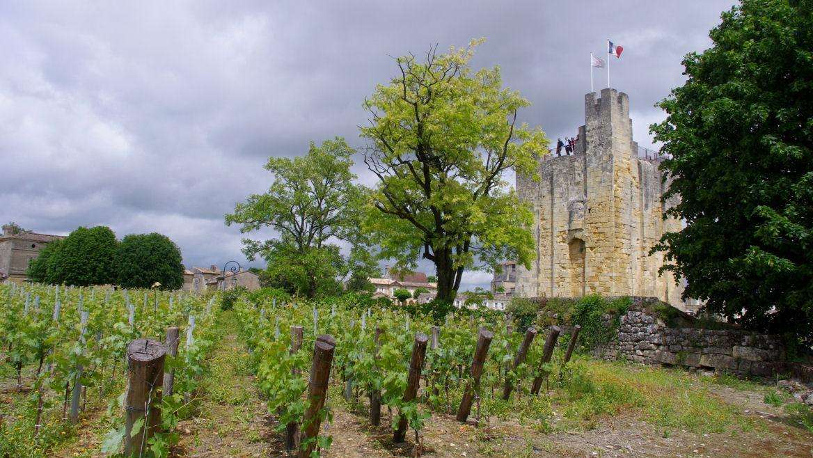 site-touristique-vinci-autoroutes-tour-du-roy