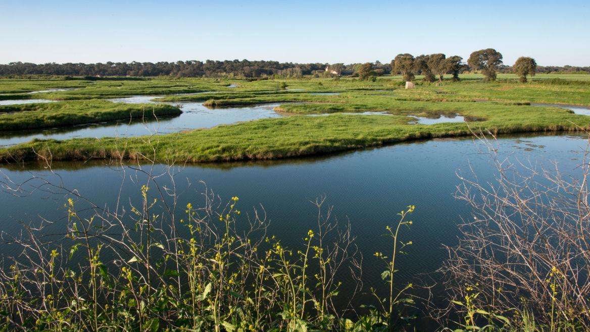 site-touristique-vinci-autoroutes-parc-naturel-regional-marais-poitevin