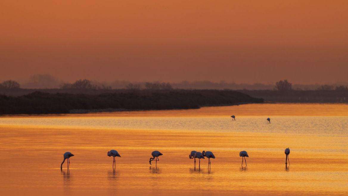 site-touristique-vinci-autoroutes-parc-naturel-regional-camargue