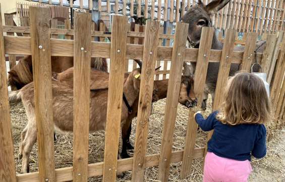 animations-aires-autoroute-bienarriver-printemps_ferme-pedagogique