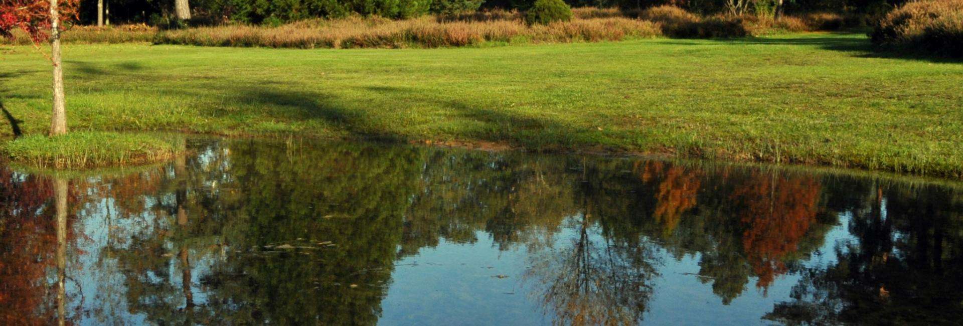 Arboretum des Grandes Bruyères